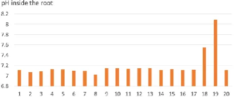 Figure 3 shows the pH values inside the root at the 