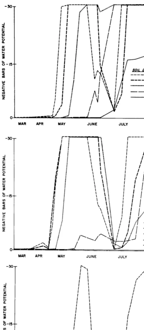 Table 8. Cover of tumble mustard during the seedling year and sub- sequent yield (kg/ha) of intermediate wheatgrass in relation to original 