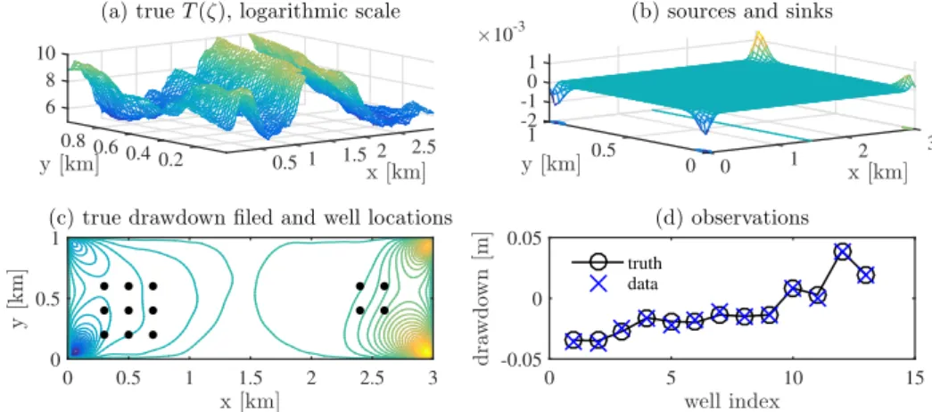 Figure 8: Setup of the groundwater inversion example. (a) “True” transmissivity field