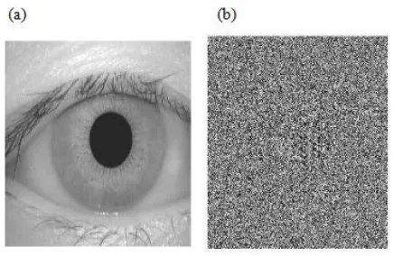 Figure 2: Encryption results for chaos algorithm (from Ismail, Amin, & Diab, 2010)  