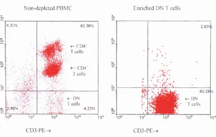 Figure 3.1: Representative fluorescence profiles of lymphoid cells stained for CD3 