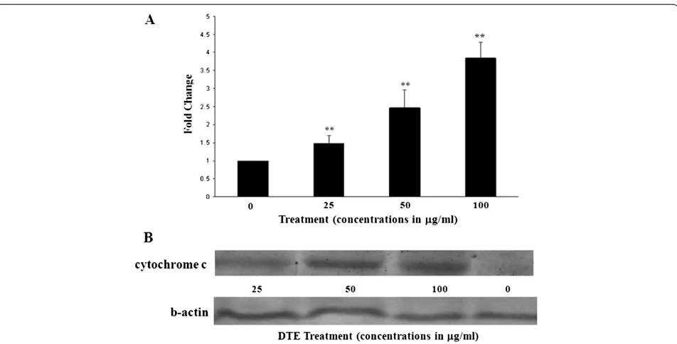 Figure 4 Activation of caspase-3 and release of cytochrome c upon DTE treatment. A: Caspase-3 activation after treatment with threedifferent concentrations of DTE in U937 cells