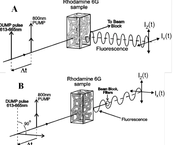 Figure 2: Schematic diagram of the femtosecond laser system and 90� H[FLWDWLRQ�GHWHFWLRQ JHRPHWU\ XVHG LQ WKH 67(' H[SHULPHQWV�Group velocity dispersion from a distilled water cell is used to stretch the DUMP pulses from 200fs to ca