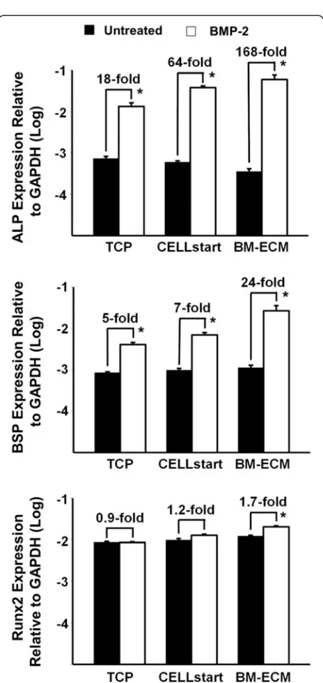 Fig. 6 Osteogenic response of BM-MSCs to BMP-2 after culture indehydrogenase,SFM on TCP, BM-ECM, and CELLstart™