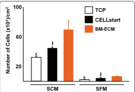Fig. 2 Cell number of primary BM-MSCs after culture in SFM or SCMfor 14 days. Primary cultures of BM-MSCs were grown for 14 days onTCP, BM-ECM, or CELLstart™ in SCM or SFM