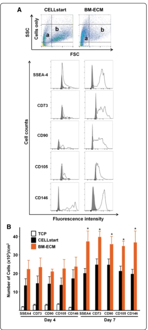 Fig. 4 Phenotypic expression of MSC surface markers after culture inantigen-4,mesenchymal stem cell,forward scatter,serum-free media,indicated markers