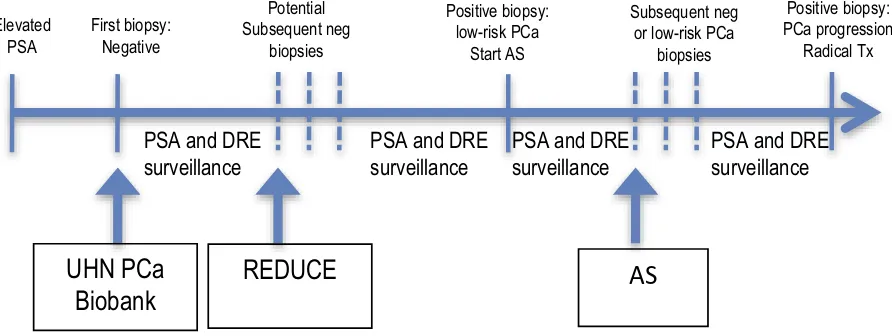 Figure 1 Diagram representing a common trajectory in men who are candidates for prostate biopsy based on PSA or prior history of prostate cancer.Abbreviations: PSA, prostate-speciﬁc antigen, PCa, prostate cancer, REDUCE, Reduction by Dutasteride of Prostate Cancer Events, DRE, digital rectal exam, AS, active surveillance.