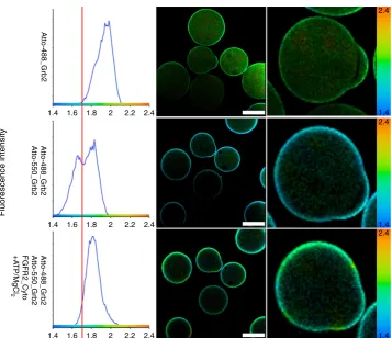 Figure 2 | Grb2 tyrosine phosphorylation disrupts dimerization. FRET between Atto488–Grb2 and Atto550–Grb2 measured with FLIM