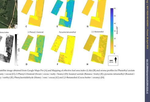 Figure 6. Original satellite image obtained from Google Maps Pro [A] and Mapping of effective leaf area index (LAIe) [B] and aroma profiles for Phenethyl acetate (Honey / floral / yeasty / cocoa) [C]; 2-Phenyl-2-butenal (Sweet / cocoa / nutty / beany) [D];