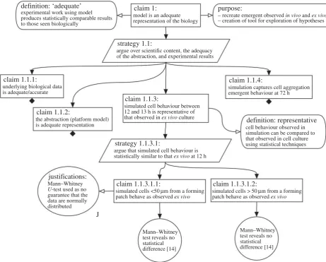 Figure 2. Top-level of argumentation structure used during the development of a computational tool that captures Peyer’s Patch development, as output by ourbiology, and arguments stated that support this claim