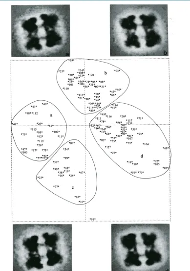 Figure 5. Visual Classification. Historical “correspondence analysis” of negatively stained “4 × 6” half-molecules of the hemocyanin of Limulus polyphemus