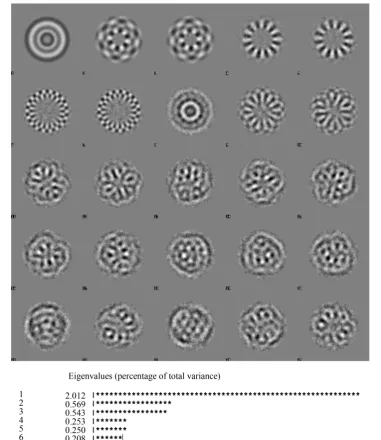Figure 7. Main eigenimages. The first 25 eigenimages of the data set of ~7300 particles (Figure 6), together with a plot of the associated 10 first eigenvalues
