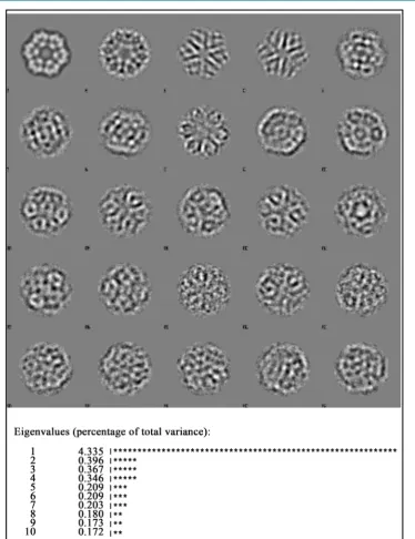 Figure 9. Eigenimages after alignment to eigenimage #2. MSA eigenvector analysis of the centred data set, but now aligned rotationally with respect to the second eigenimage of the first MSA anal-ysis (Figure 7)