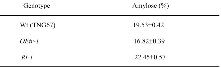 Table 2  Comparison of apparent amylose content in endosperm among Wt, OEtr-1 and Ri-1