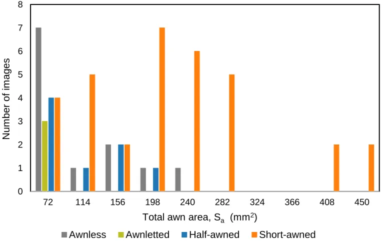 Figure 7 shows the distribution of the awnedness types relative to Shave the largest range; note that they have both large and small values of the total awn area