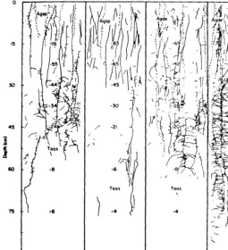 Table 2. showing phenological response to the environment are presented in Adventitious root development was first recorded in cheatgrass on 