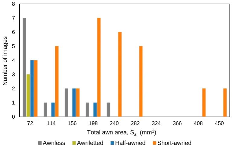 Figure 7. Histogram of the spike distribution according to awnedness type for the sample used to compute total awn area