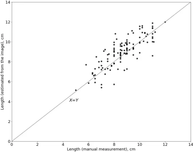 Figure S6.  Scatterplot  diagram for  the main spike length for  Triple Dirk B × KU506 F 2   hybrid plants