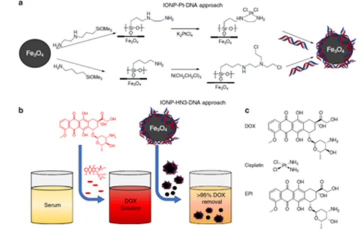 Fig. 5. Gold nanoparticle mediated delivery of CRISPR Cas9. Gold nanoparticle is surrounded with 