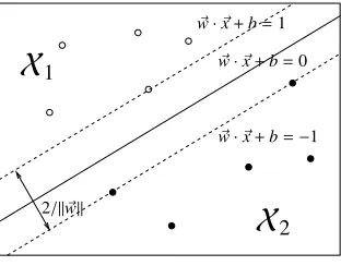 Figure 1 shows that the hyperplain which sepa-rates the samples. In this ﬁgure, solid line shows
