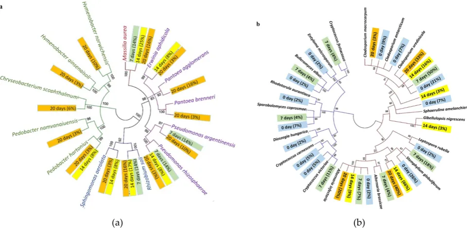 Figure 9: Phylogenetic tree of (a) bacterial community and (b) fungal community present in the hemp fiber samples