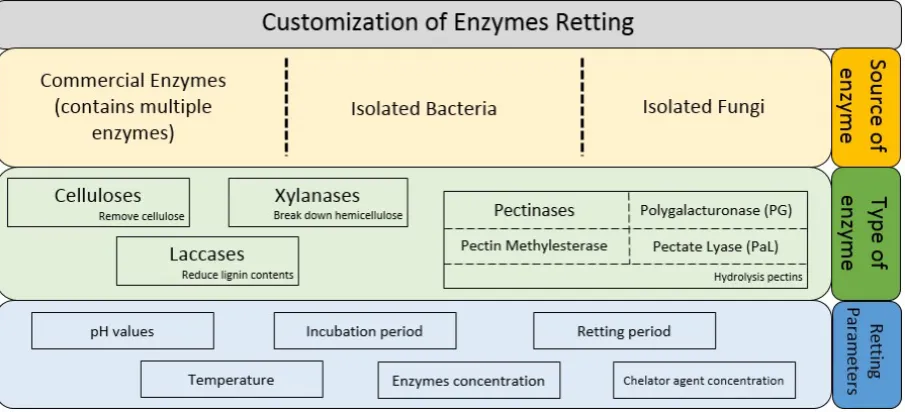 Figure 10: Customization of enzymes retting