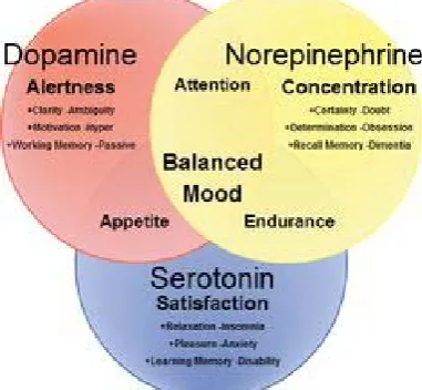 Figure 3: Perfect balance of neurotransmitters 