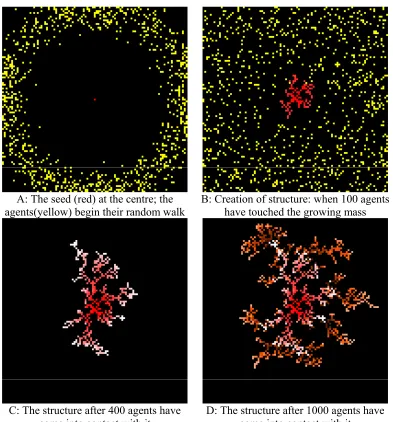 Figure 4: The creation of structure: constrained diffusion limited aggregation (DLA)  from random walks  