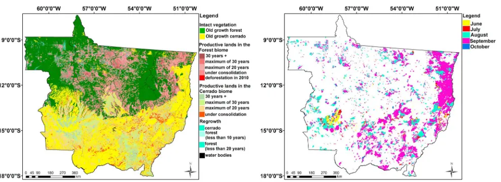 Figure 1. Land cover and burned areas in Mato Grosso state with 250 m spatial resolution