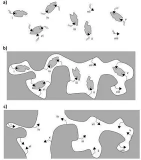 Fig. 1. 2-dimensional cartoon representation of the origins of heterogeneity in molecularly im-generated two new weak and non-selective sites ix and x)