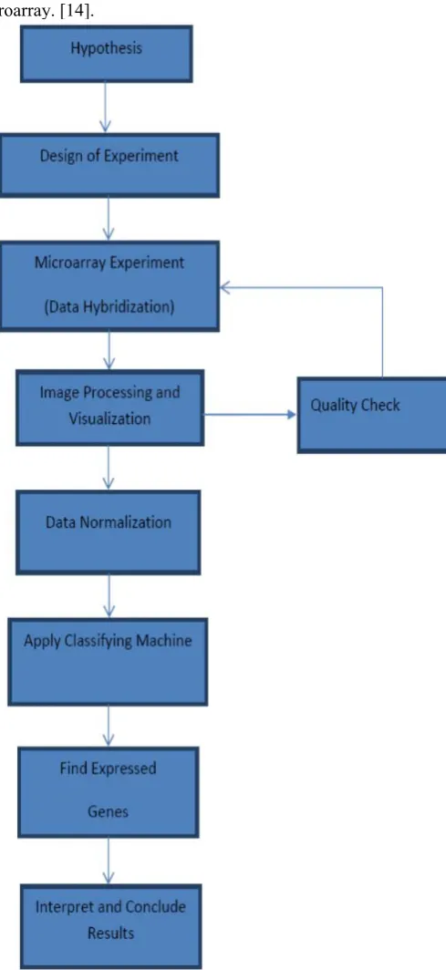 Figure 2: The flow of the microarray experiment 