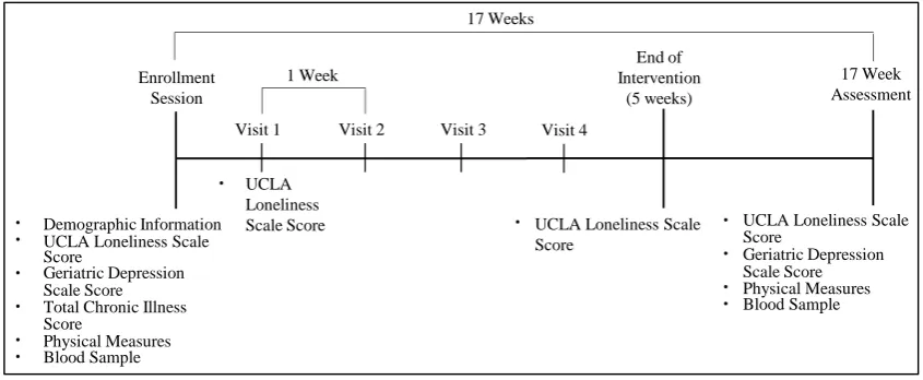 Figure 1. LISTEN trial study design.  