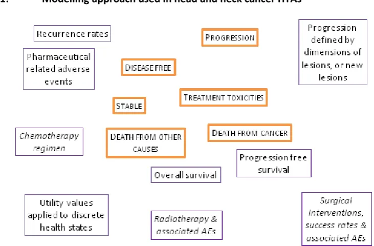 Figure 1: Modelling approach used in head and neck cancer HTAs 