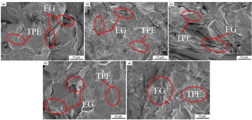 Figure 2. Flexibility test of the as-prepared EG/OP70-TPE. 
