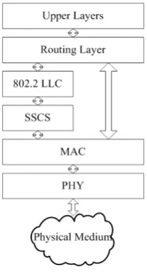 Figure 2. Mesh typology.  