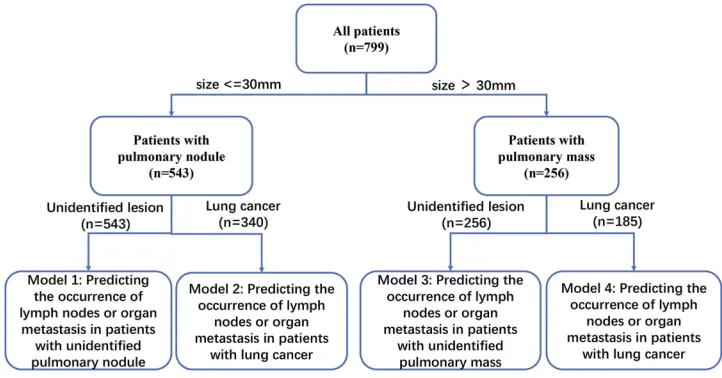 Figure 1 Overall study design. Firstly, all patients were divided into nodule group and mass group according to the size of the lesion; secondly, patients were divided intounidentiﬁed lesions group (before pathological conﬁrmation) and lung cancer group (after pathological conﬁrmation).