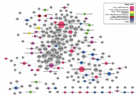 Figure 7. Drug-target network. The network contains 48 unique drugs (hexagons) and 163 