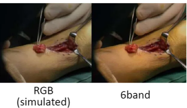 Fig. 7 Observed color variation