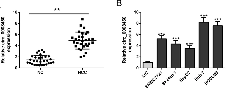 Figure 1 Hsa_circ_0008450 expression level is increased in HCC tissue and cells. (A) The expression levels of hsa_circ_0008450 in paired HCC tumor tissues (n=30) andadjacent normal tissues (n=30) were evaluated by qRT-PCR analysis