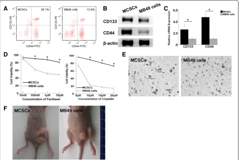 Fig. 1 Identification of MCSCs in CSCs characters. a FCM analysis showed that the fraction of CD44+CD133+ cells in the MCSCs population waslarger than in MB49 cells
