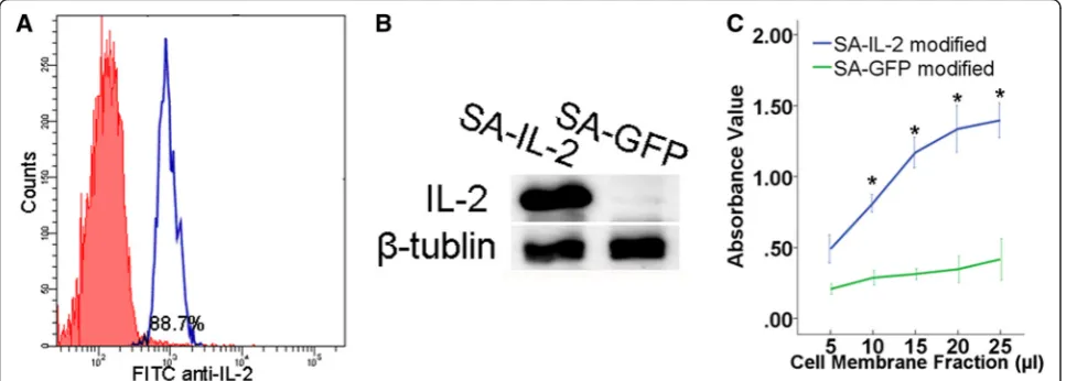 Fig. 2 Analysis of the SA-IL-2 MCSCs vaccine. a Typical FCM analysis image of MCSCs anchored with SA-IL-2