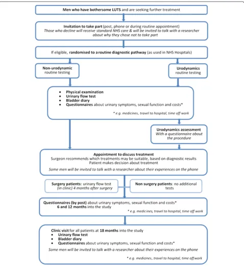 Fig. 1 Study flow diagram