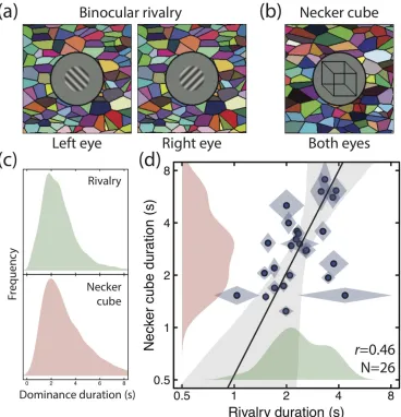 Figure 1: Example stimuli and summary of psychophysical results. (a) Binocular rivalry stimuli shown to the left  and right eyes