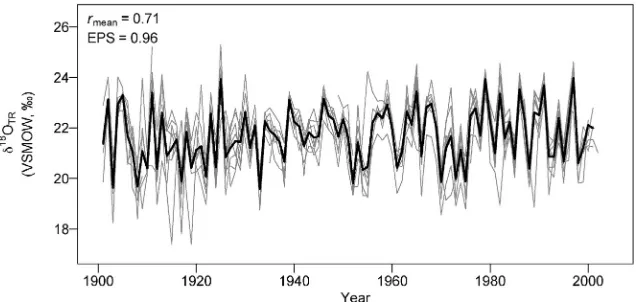 Fig. 2. Interannual variation intree correlation for the period 1901 δ18OTR in nine Cedrela odorata trees from Selva Negra, Bolivia (grey lines), and the mean δ18OTR chronology (black line) from 1901 to 2001