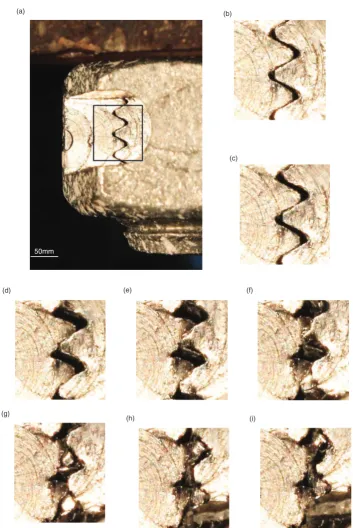 Figure 12. (a) Specimen tested with section milled to reveal thread interface and (b-i) imagestaken at different stages of the thread-stripping process.