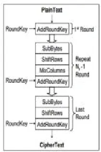 Figure 4 ShiftRows operation for AES [3] 