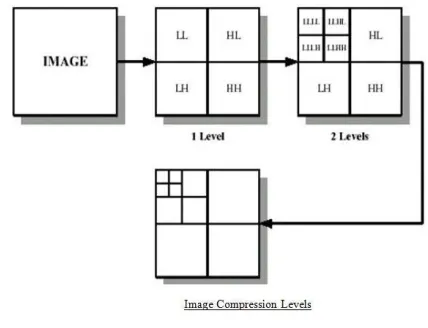 Fig. 7 DWT 