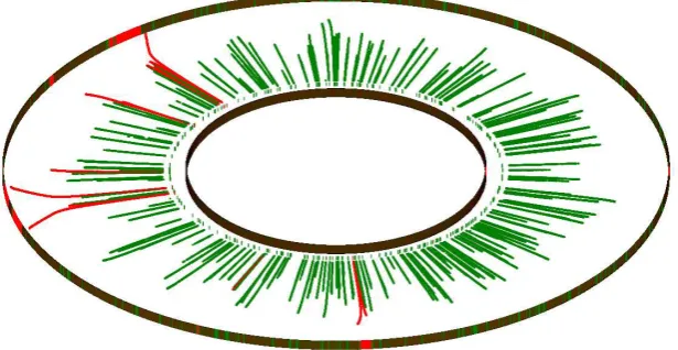 Fig. 6 ρ = 0.6, τg = 0.43, τr = 0.27, w = 70, n = 5, 000, 000, selective dynamic