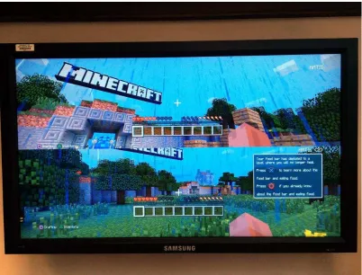 Figure 1: Split-screen multiplayer mode in Minecraft. 