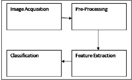 Fig.1. Generalization model for diseased citrus leaves classification 